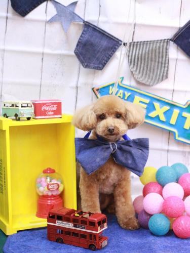 20230407めるちゃん